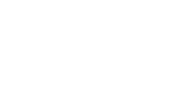 Four Seasons Preferred Partner